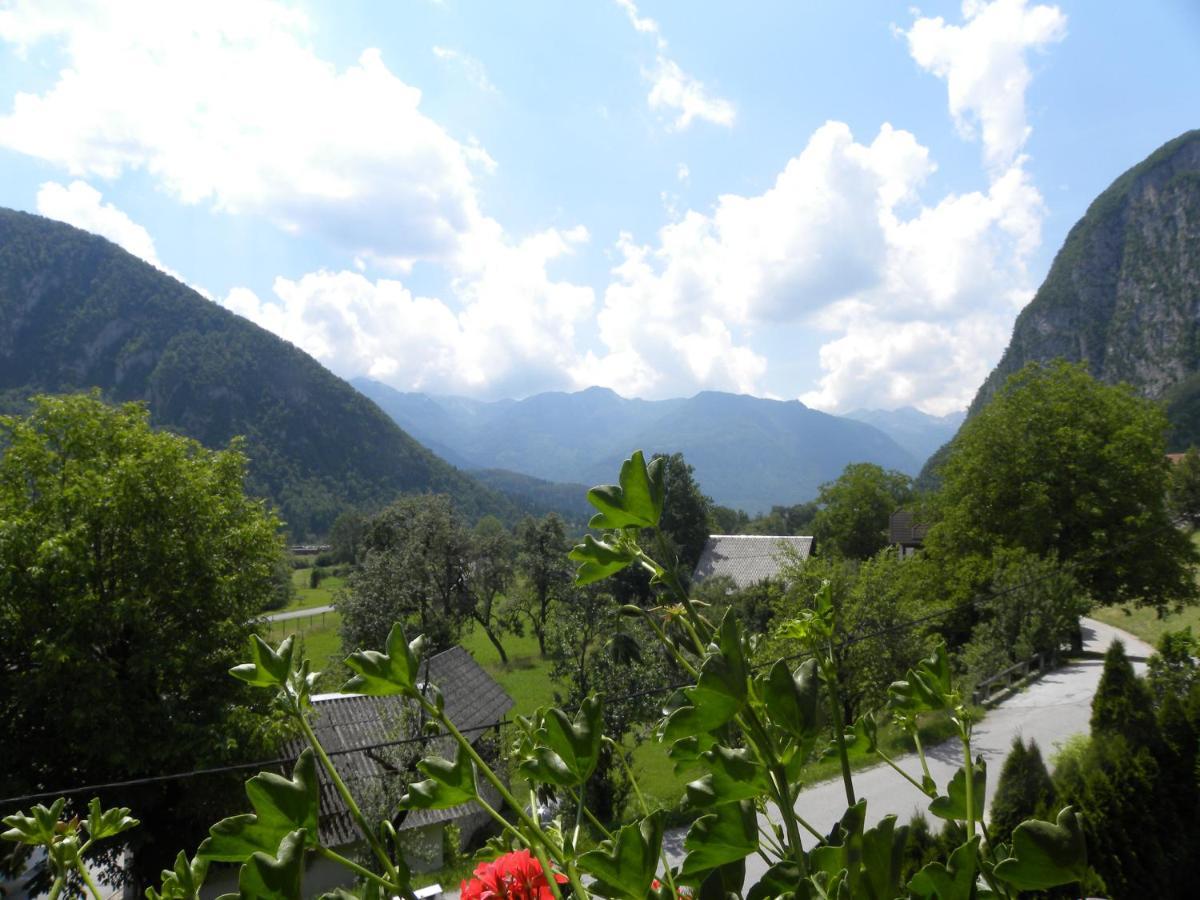 Apartma Cvetek, Srednja Vas 133 博希尼 外观 照片